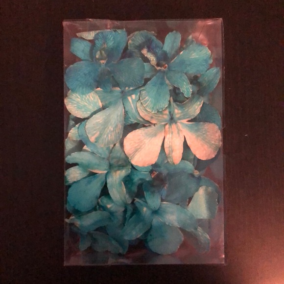 Preserved decorative orchids - Picture 1 of 3